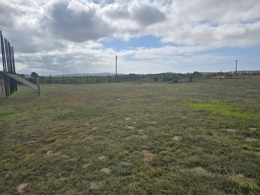 0 Bedroom Property for Sale in Colchester Eastern Cape